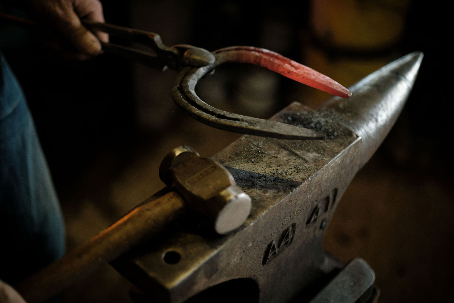 Horseshoe hooks