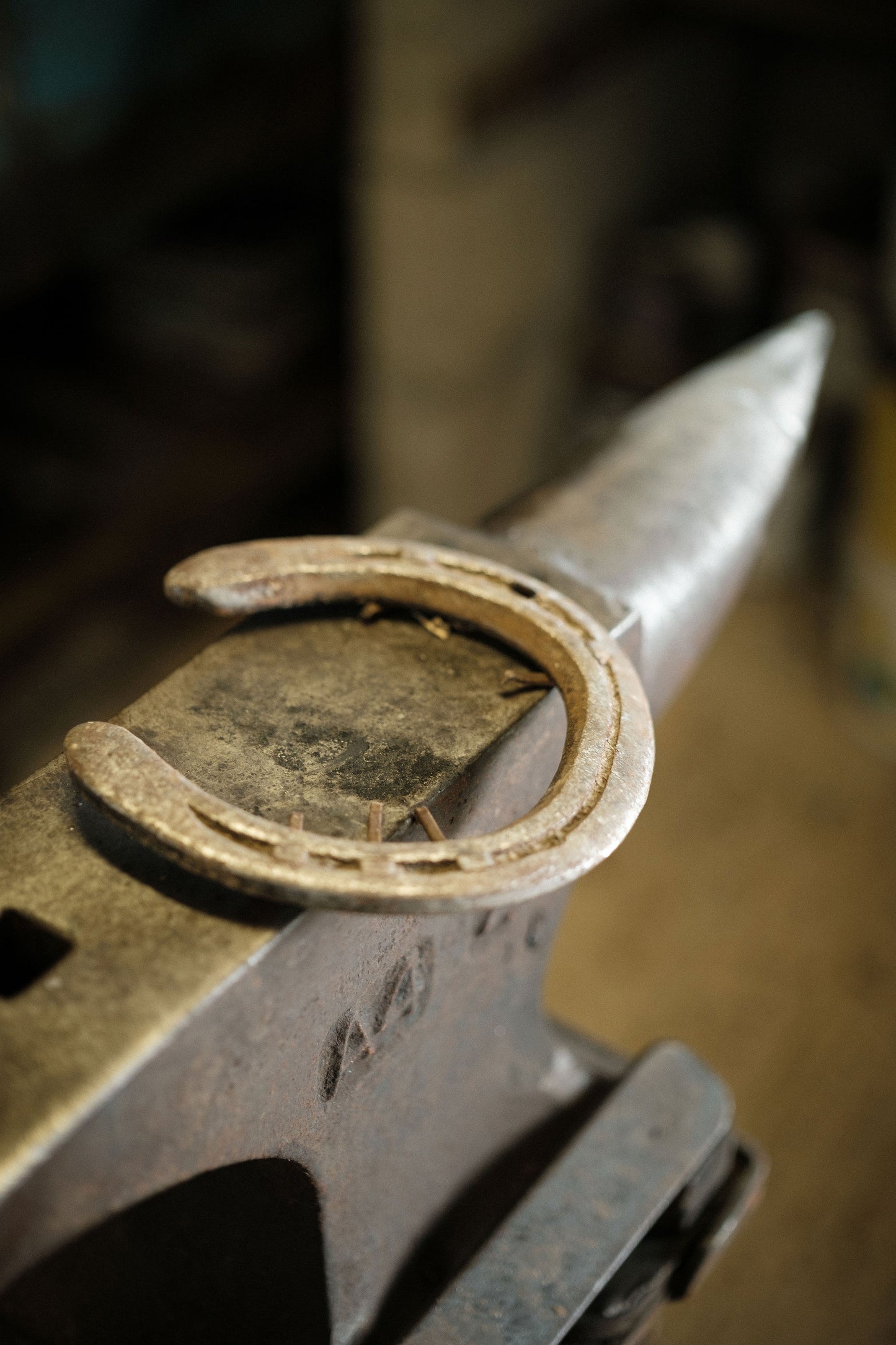 Lucky Horseshoe