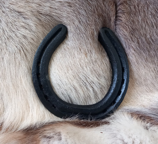 Lucky Horseshoe